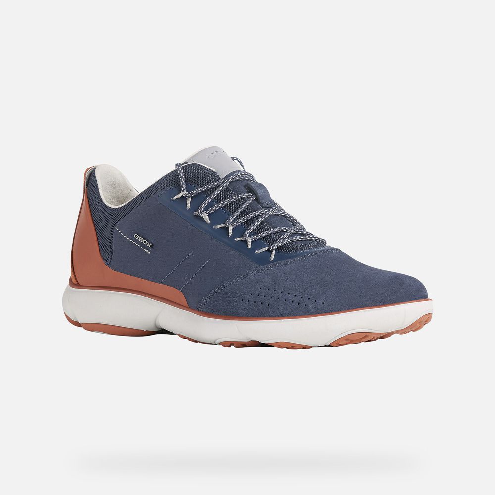 Basket Geox Nebula - Bleu/Marron - Homme 650172-QVD